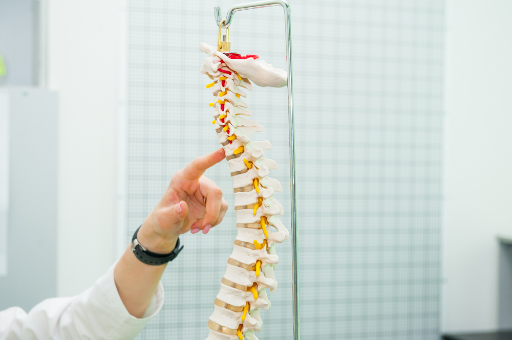 chiropractor in Miramar, FL pointing to a model of the spine during an appointment for chiropractic care for a sports injury